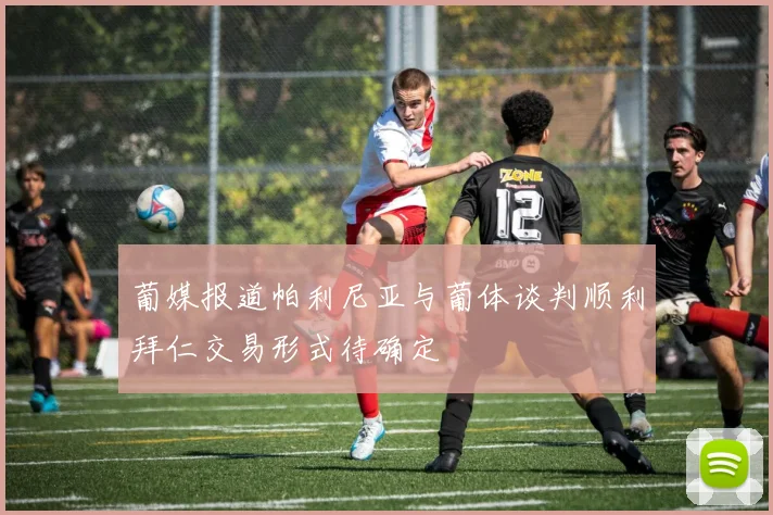 葡媒报道帕利尼亚与葡体谈判顺利拜仁交易形式待确定
