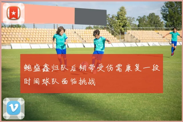 鲍盛鑫归队后韧带受伤需康复一段时间球队面临挑战